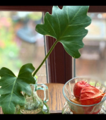 缓解焦虑思绪，让心安静才能睡好  