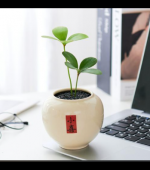 慢下来，是最温柔的解压  